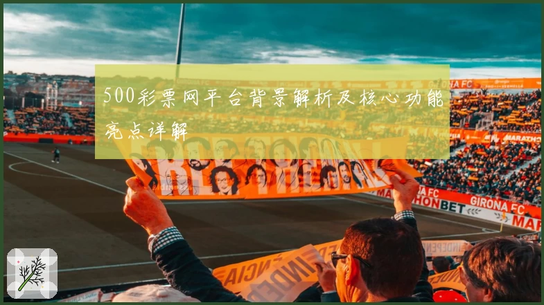 500彩票网平台背景解析及核心功能亮点详解